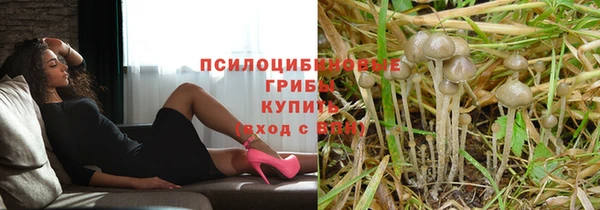 героин Алзамай