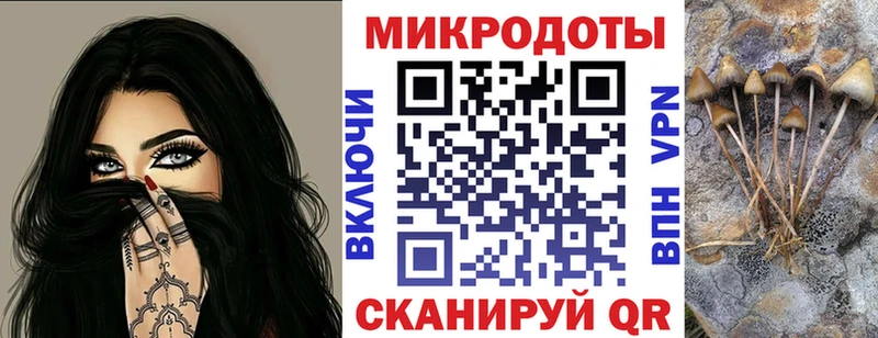 где купить наркоту  Бокситогорск  Галлюциногенные грибы GOLDEN TEACHER 